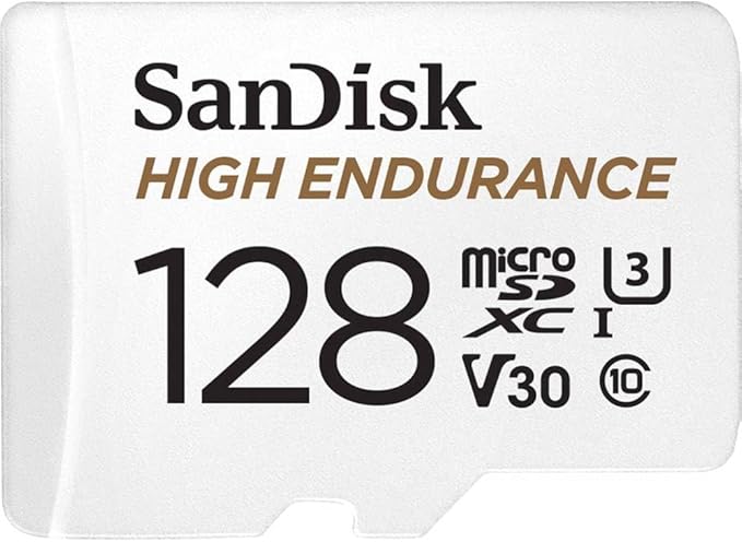 SanDisk 256GB High Endurance microSDXC Card with Adapter for Dash Cams and Home Monitoring